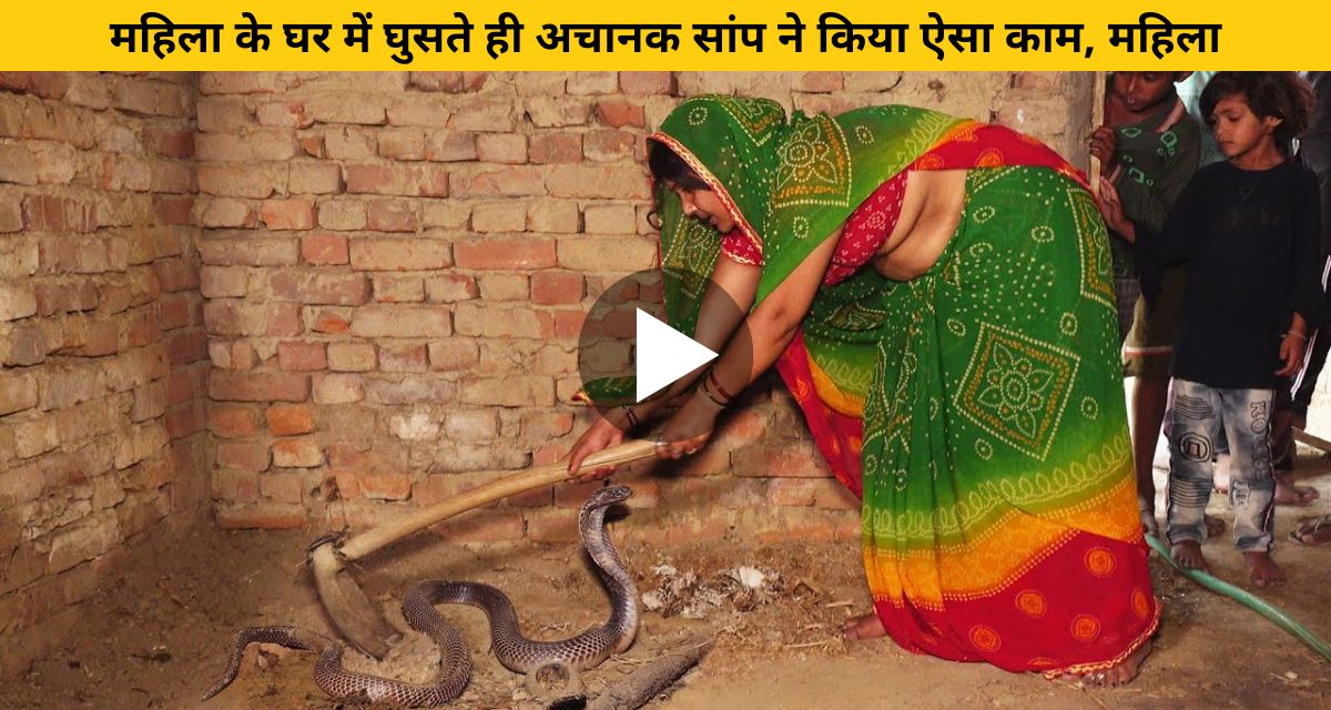 snake attacked