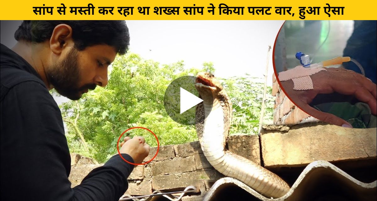 man trying to catch snake