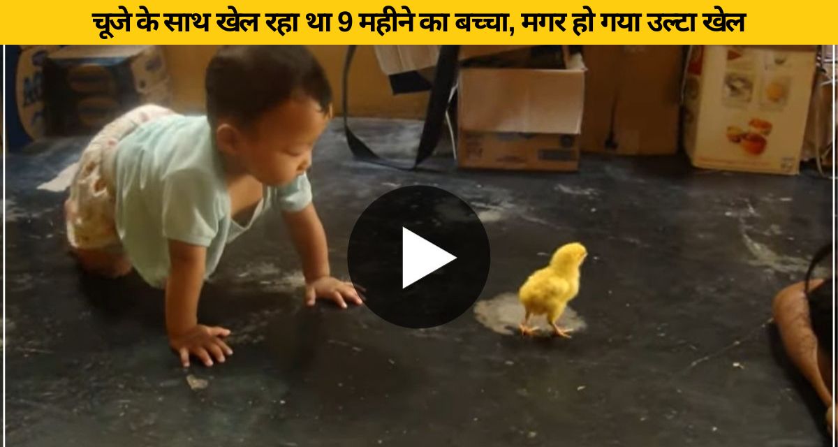 the child was playing with the chick