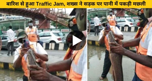 भारी बारिश के बीच बेंगलुरु की सड़क पर मिला कैटफिश, वायरल वीडियो