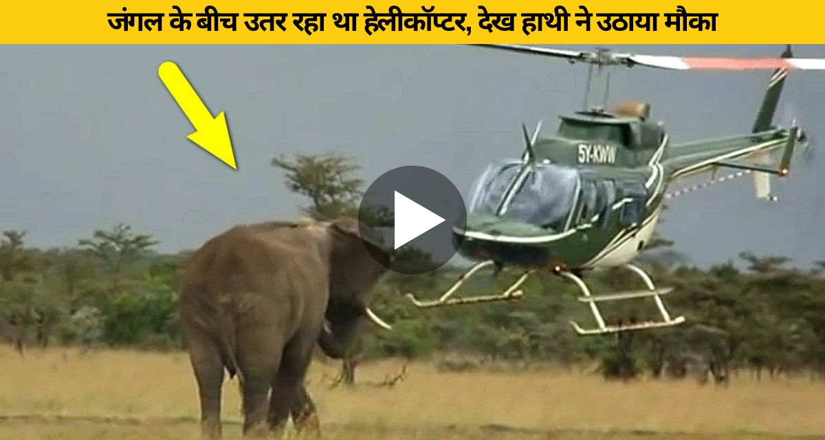 The elephant holding the helicopter also flew high in the air