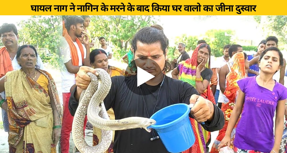 People attacked the snake with sticks