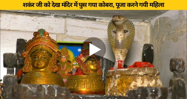 भगवान शंकर का भक्त नाग घुसा मंदिर में, देखते ही पुजारी की हुई हालत खराब
