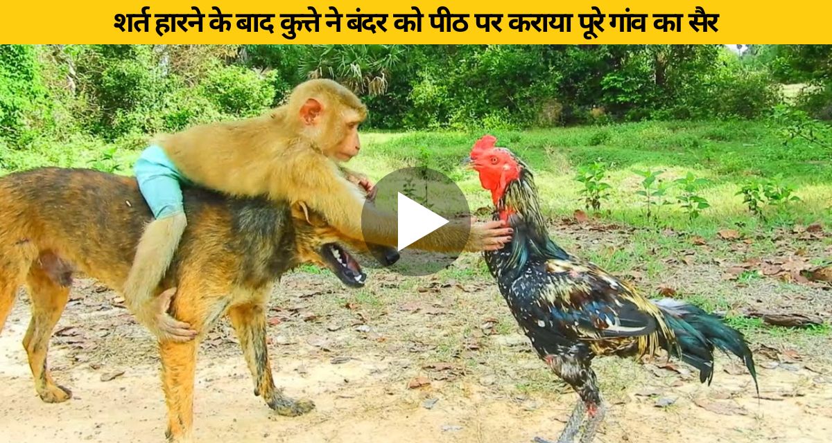 The dog carried the monkey on his back and walked the whole village
