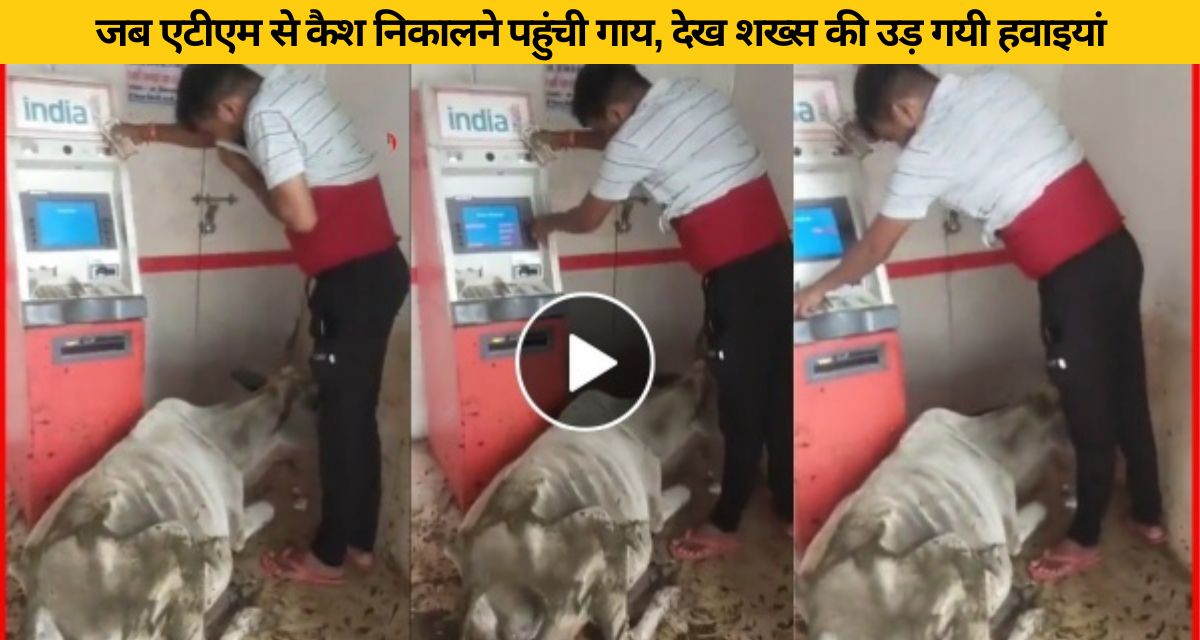 Cow also reached ATM