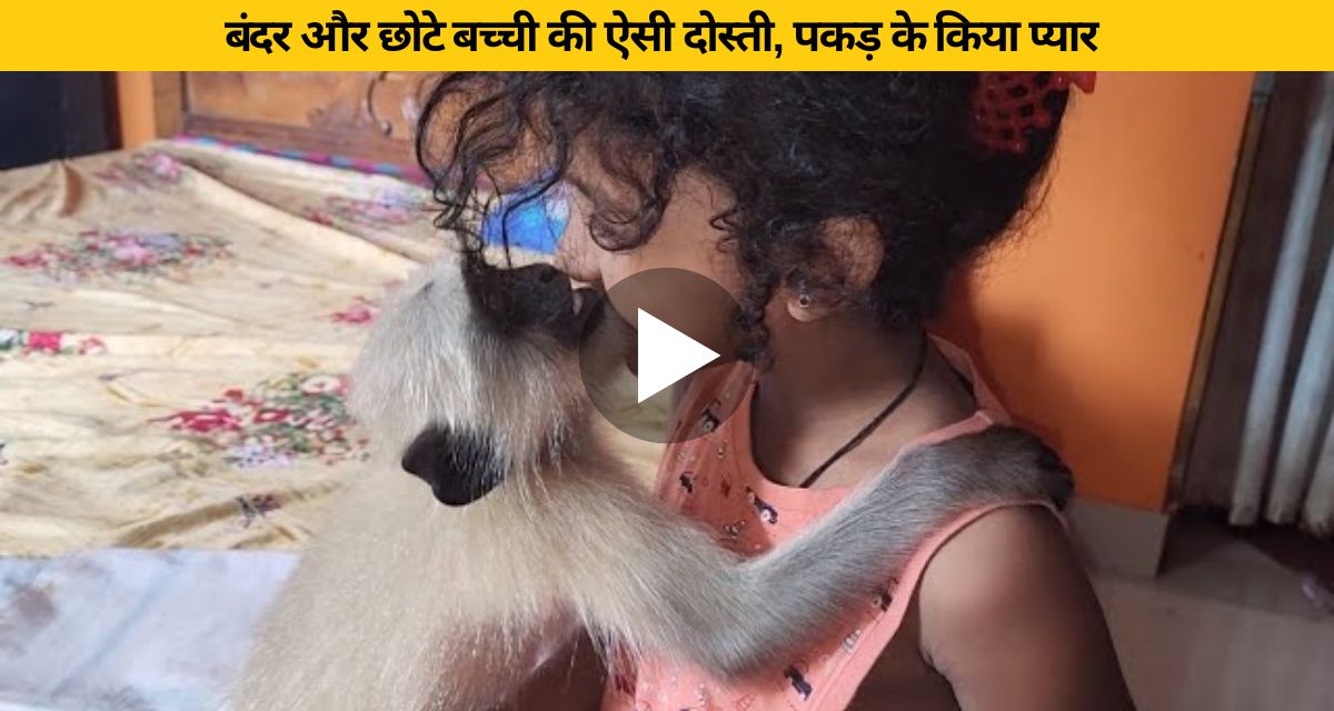 such friendship of monkey and little girl