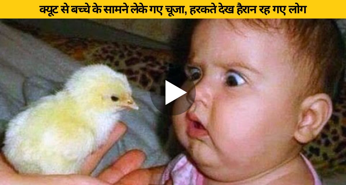 The child gave a wonderful expression after seeing the chick being taken away