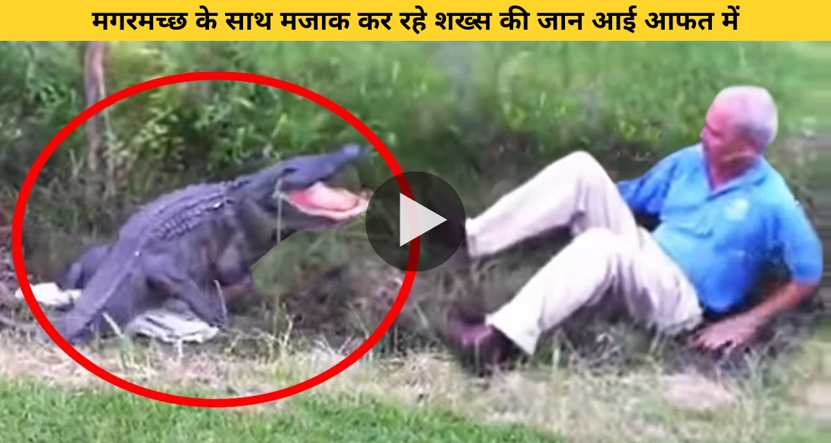 Man joking with crocodile came to life in trouble