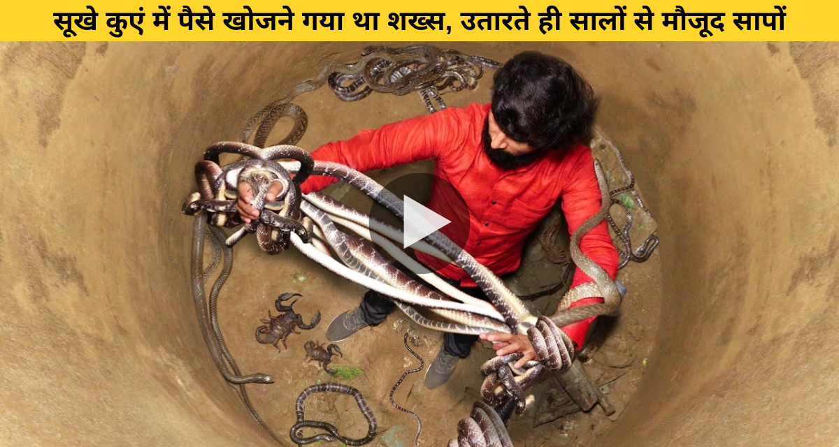 5 crore reward for rescuing snakes from deep well