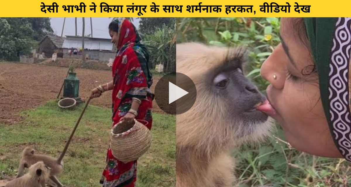 The woman who got out of the car was suddenly attacked by a herd of langurs