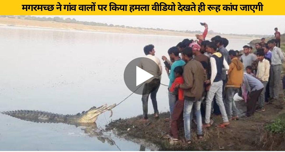 30 feet crocodile attacked the villagers