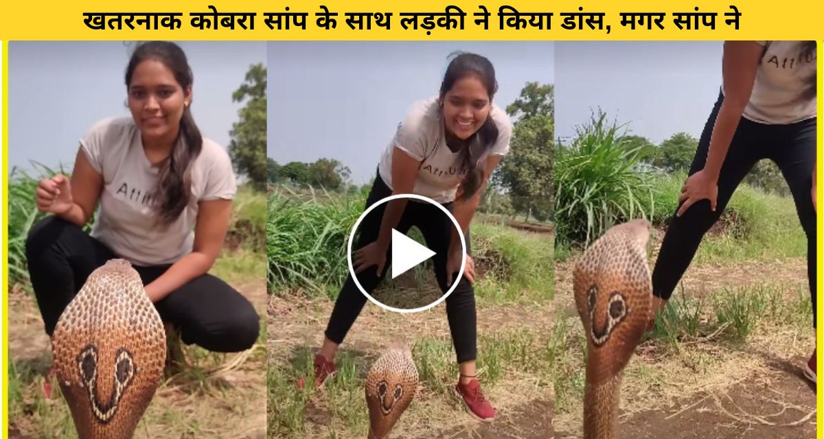 Girl stunned by dancing with cobra