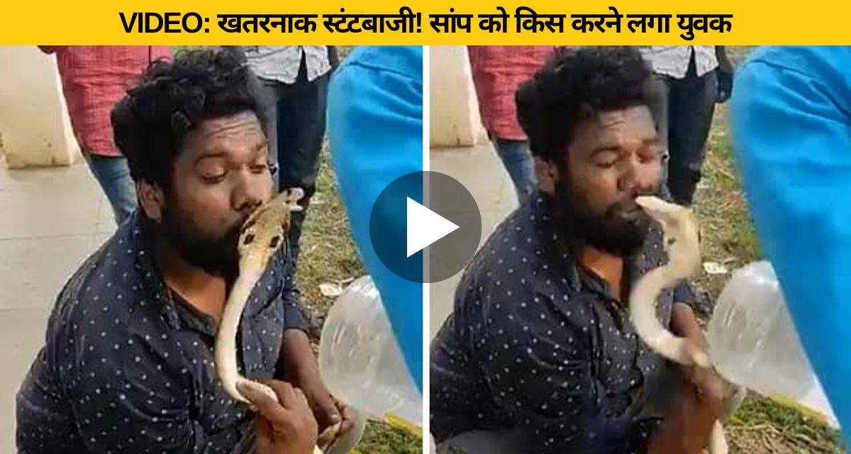 Snake catcher was having fun with snake