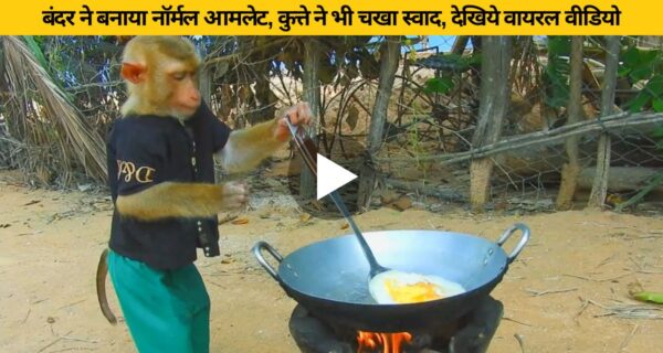 दोस्त की फरमाइश पर बंदर ने चूल्हे पर बनाया आमलेट, वायरल हुआ वीडियो