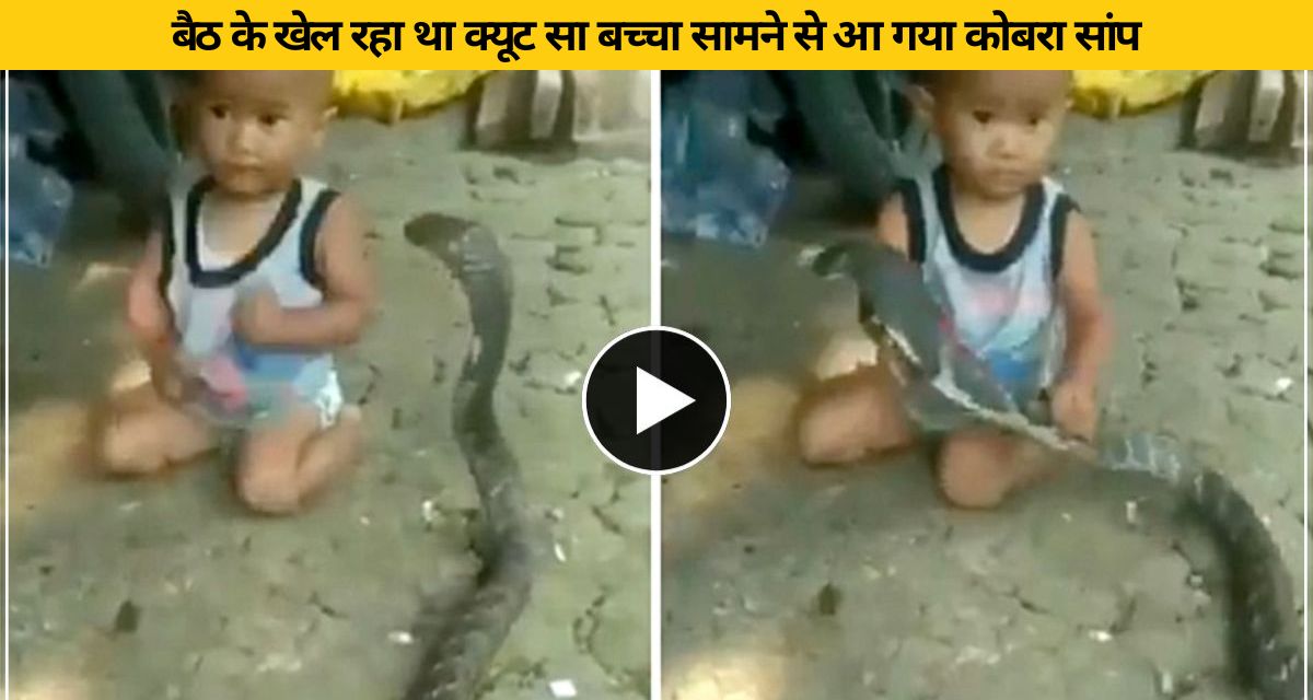 Cobra suddenly climbed on 6 month old baby