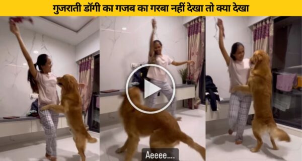 नवरात्रि में कटप्पा ने भी किए गरबा डांस यूजर्स देखकर हुए हैरान