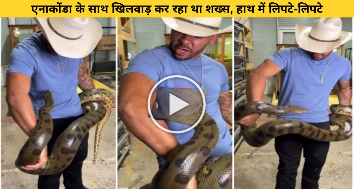 Man punished for repeatedly harassing anaconda