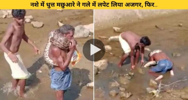 नशे के हालत में मछुआरे ने मछली समझ अजगर को लपेटा गले में, ऐसी बची जान