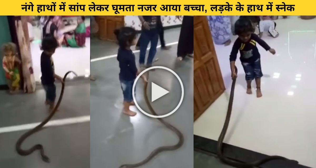 A child was seen carrying a snake in his hands