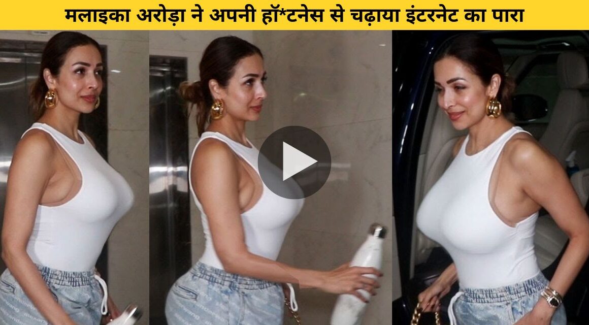 Malaika Arora raised the temperature of the internet with her hotness