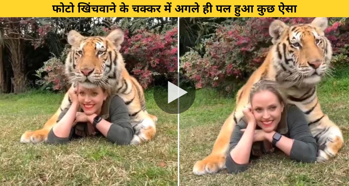 The girl was lying on the ground suddenly, Tiger made such a condition