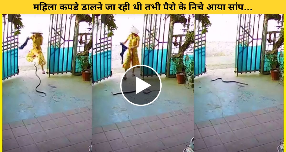 Snake attacked woman as soon as she entered the gate