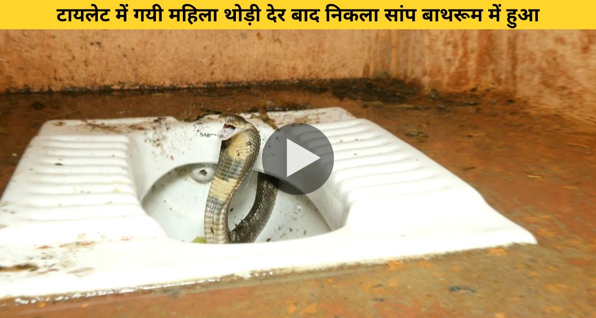 The snake hidden in the commode attacked the woman