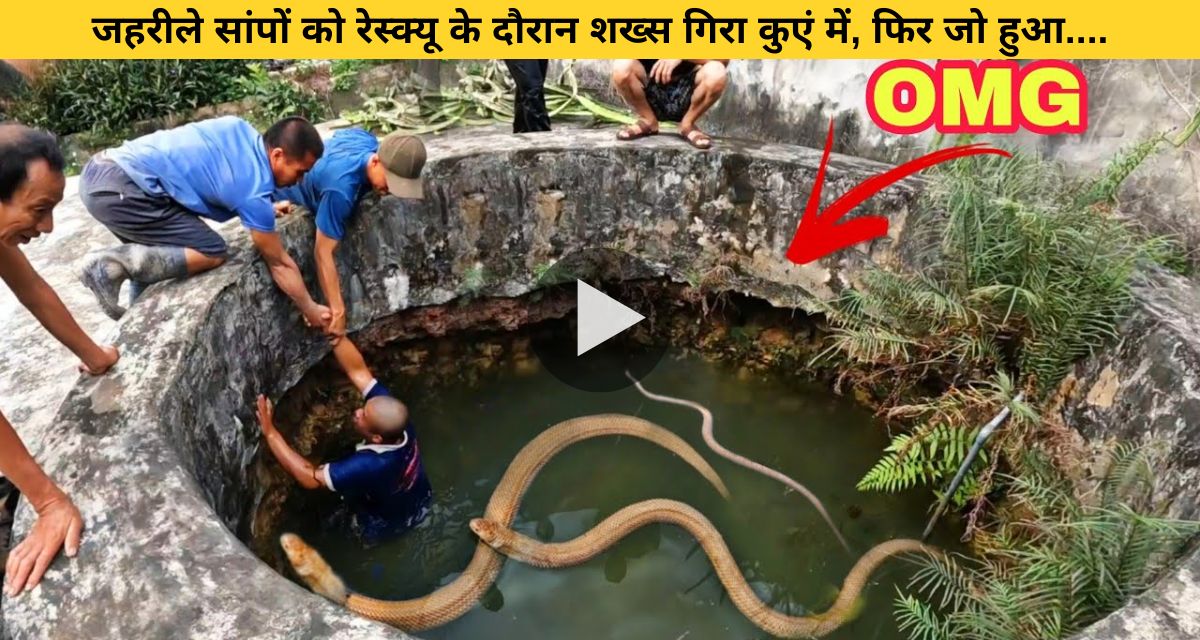 During the rescue of poisonous snakes, the person fell into the well