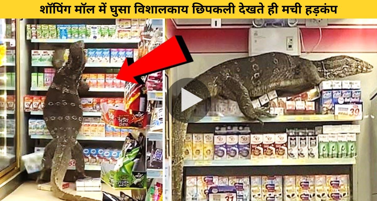 giant lizard entered shopping mall