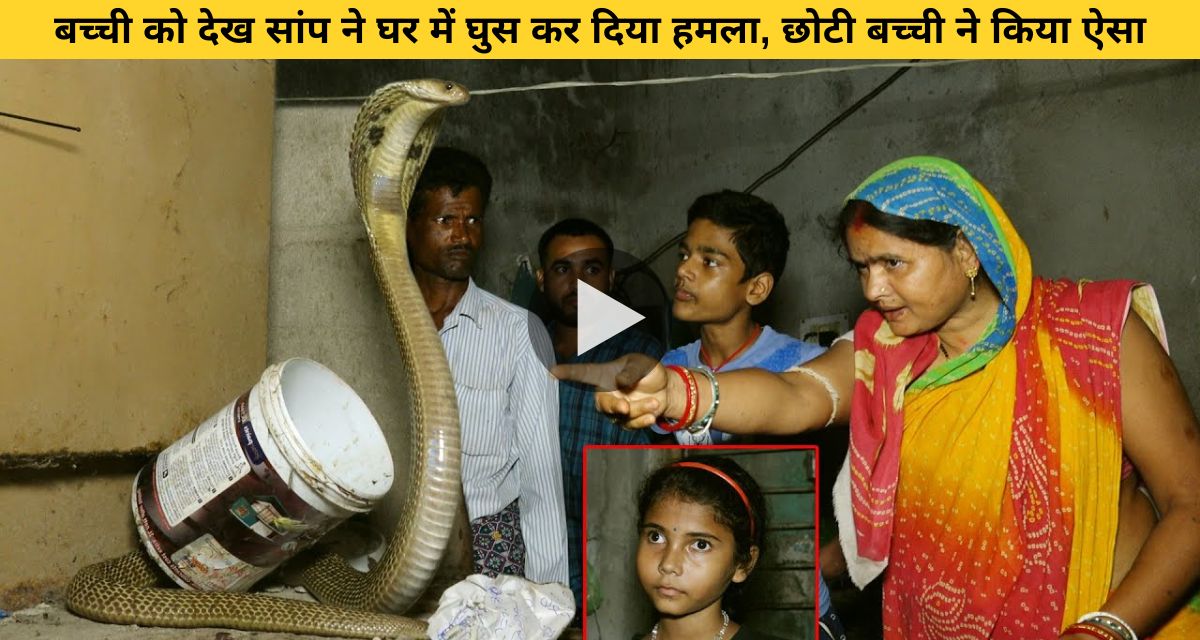 Poisonous snake attacked the little girl