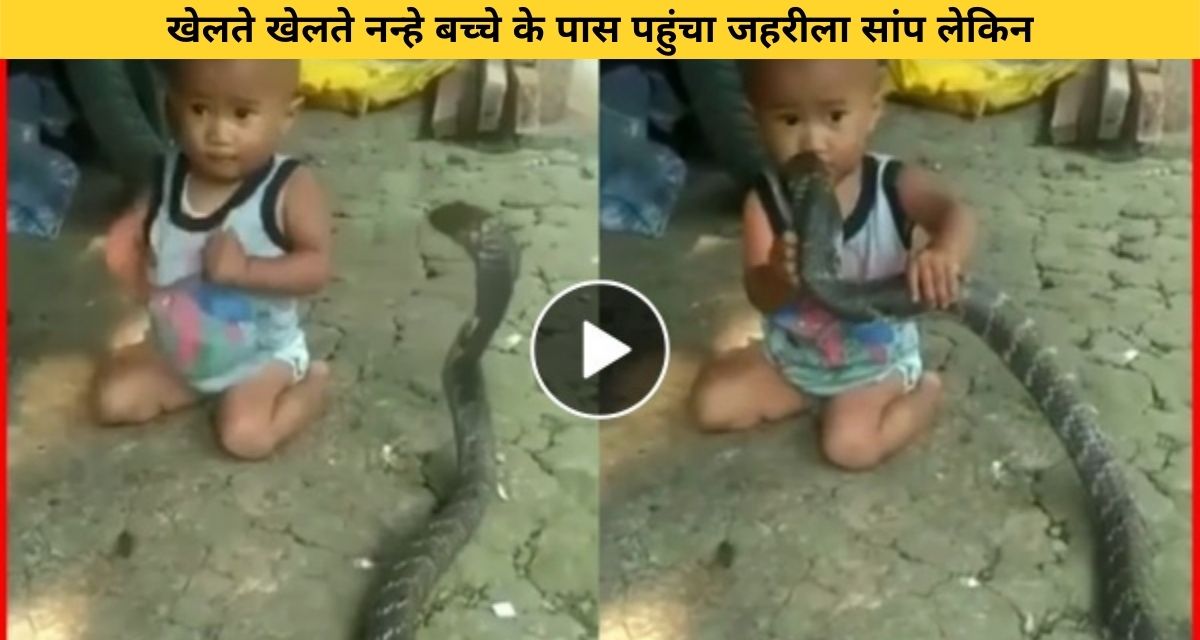 Poisonous snake reached the little child