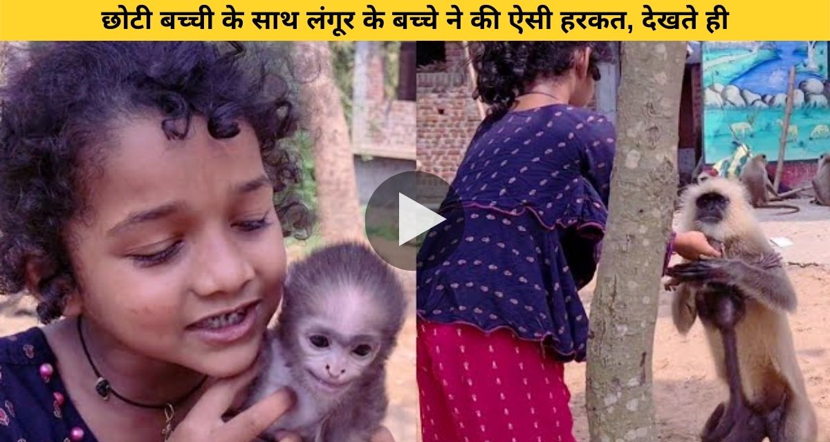 Baby baboon did such an act with little girl