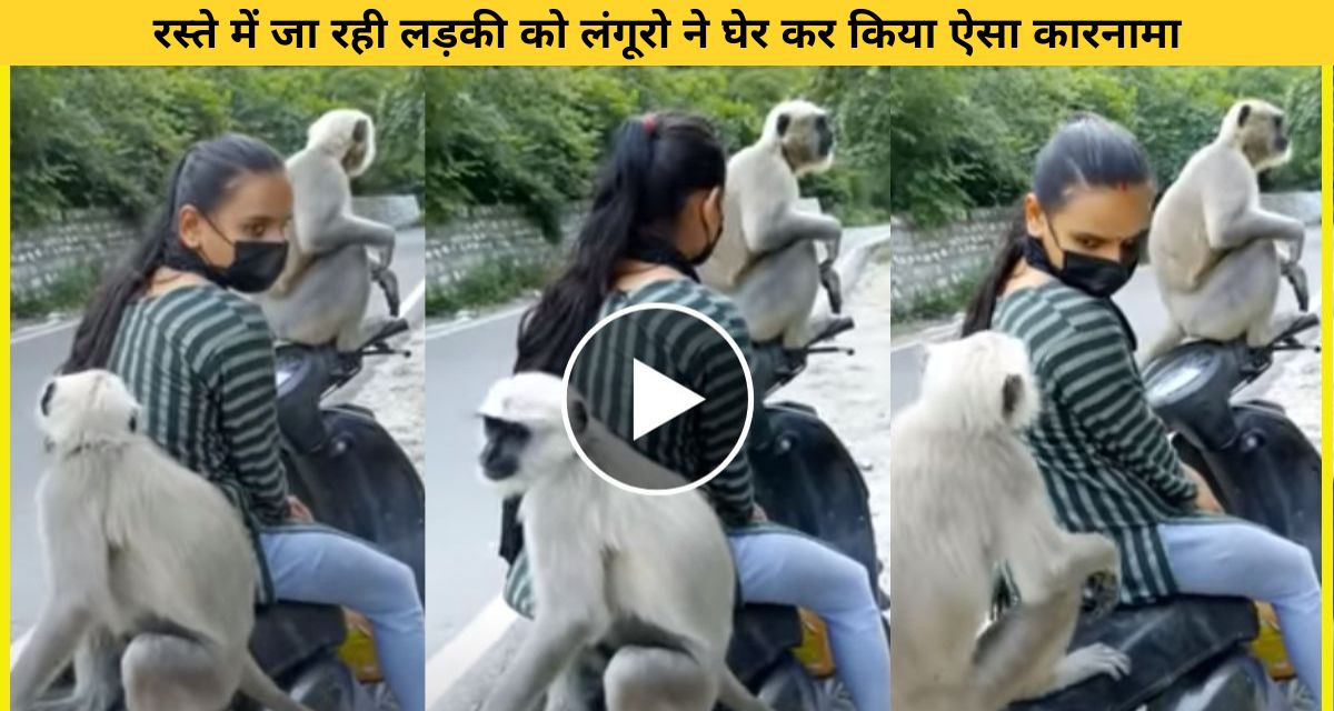 Monkeys suddenly attacked a woman driving a scooty