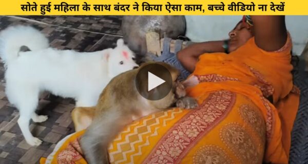सोते हुई महिला के साथ बंदर ने किया ऐसा काम, दिल छू रहा वीडियो