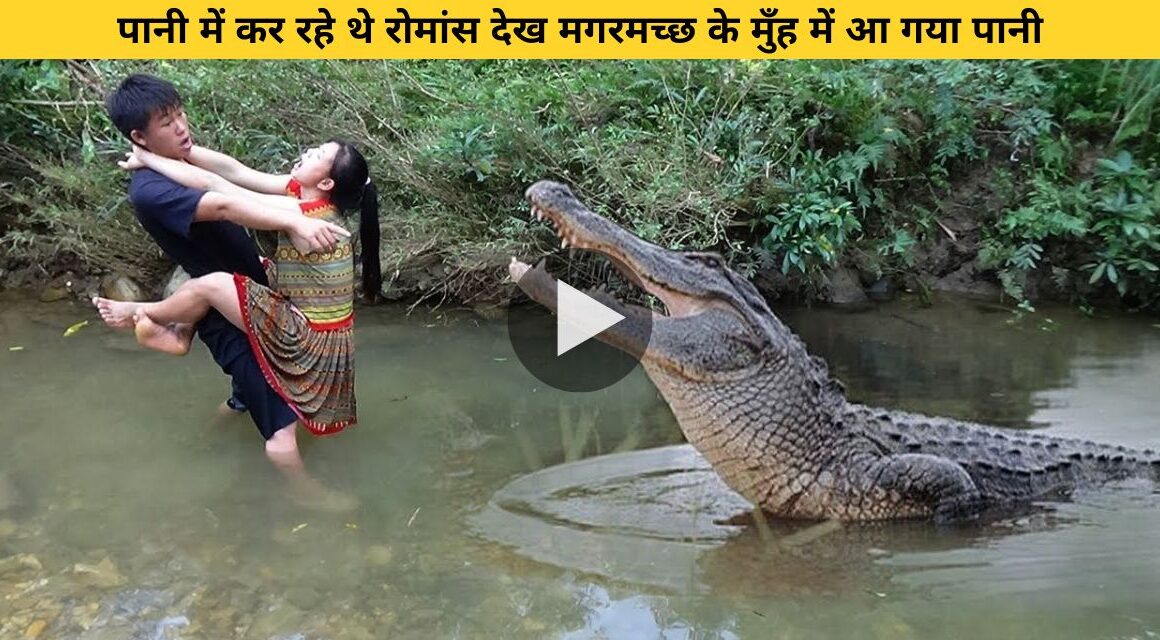 Crocodile suddenly reached near the couple doing photoshoot in water