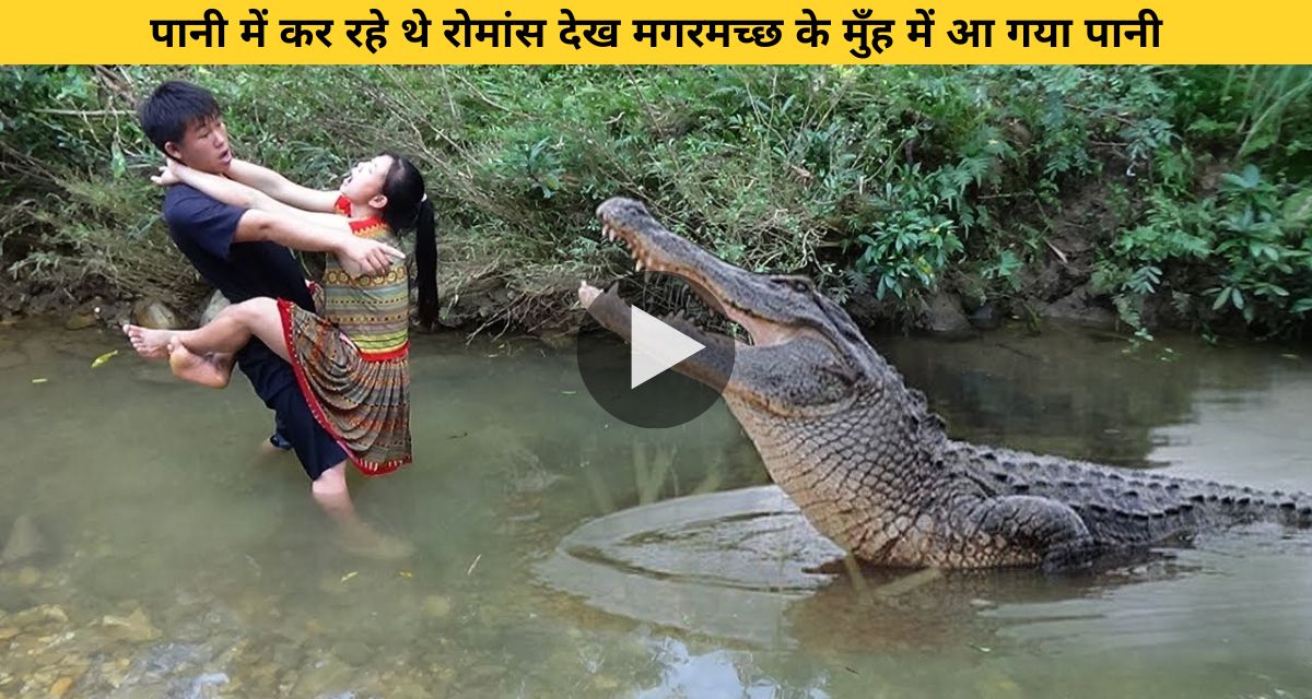Crocodile suddenly reached near the couple doing photoshoot in water