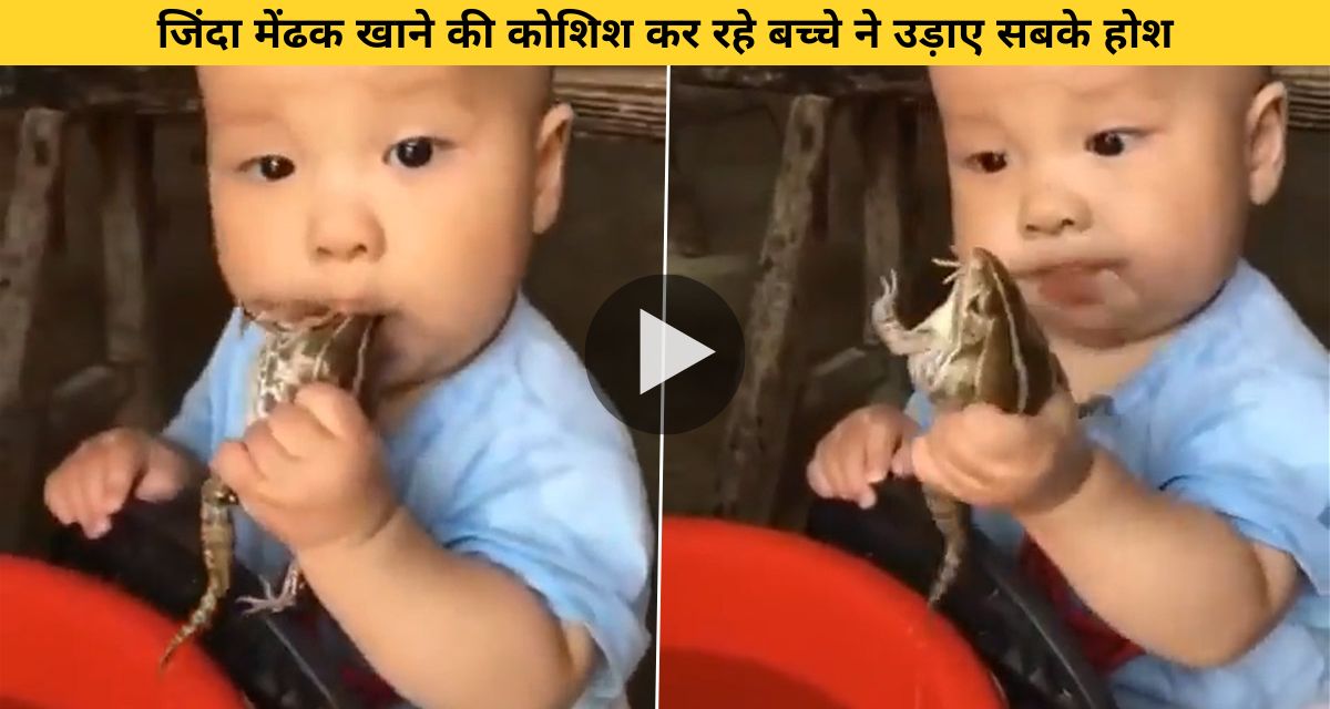 Child sucking live frog in mouth