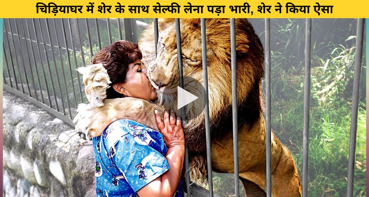 Lion pounces on woman in zoo