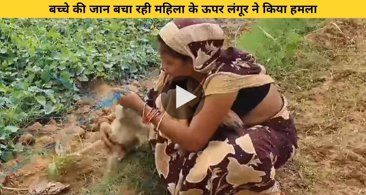 Langur attacked the woman who was saving the child's life