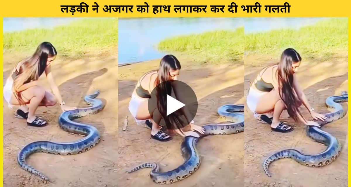 The girl made the mistake of touching the python