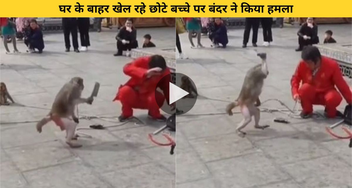 Monkey was seen dragging a small child by his hand