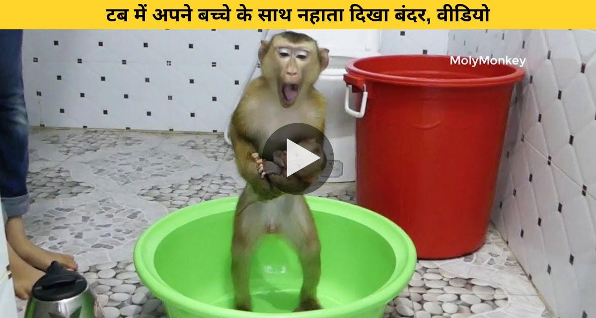 Monkey seen taking bath with her baby in tub