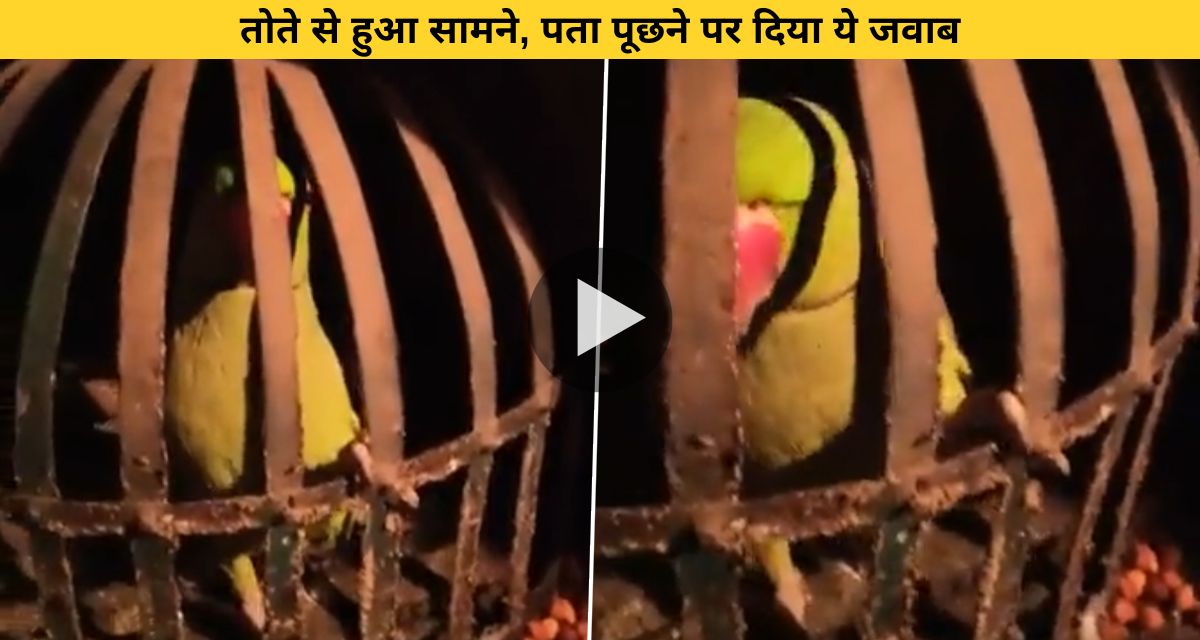 The parrot dodged the police who went to catch the liquor mafia don