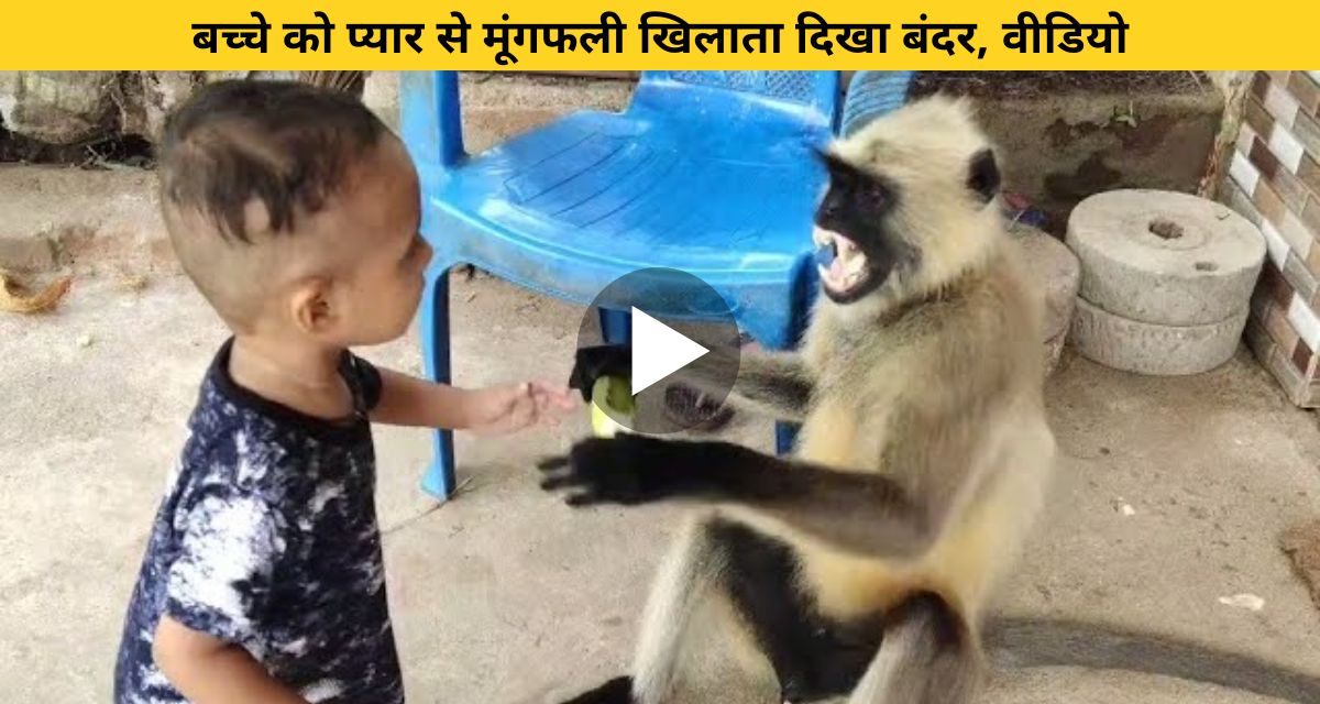 Monkey lovingly feeding peanuts to a child