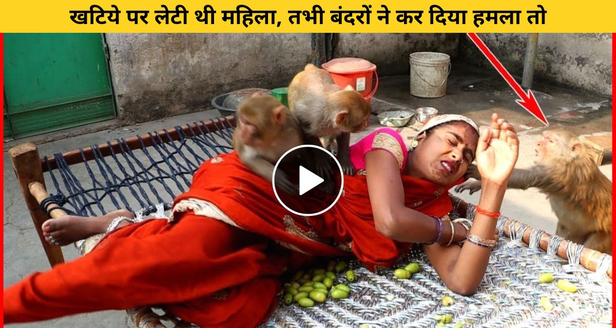 such act of monkey with woman