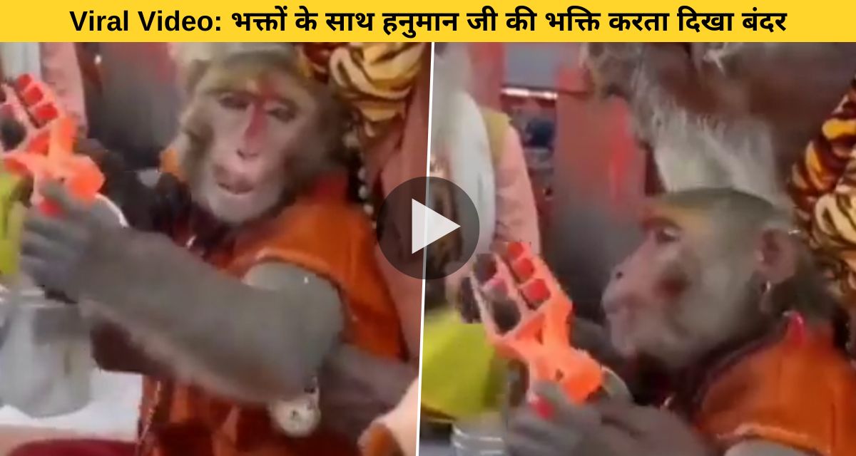 Devotee monkey engrossed in the devotion of Hanuman ji