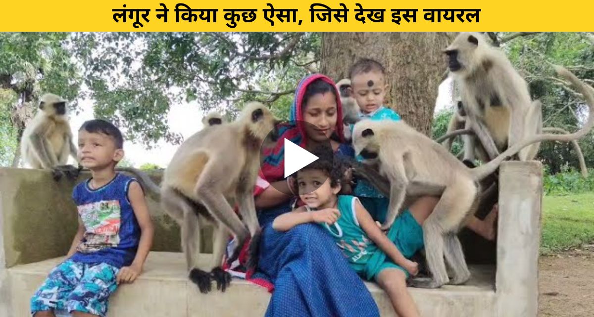Langur did such an act
