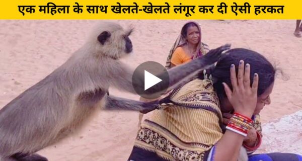 मूंगफलियां खिला रही महिला पर बंदरों का हमला