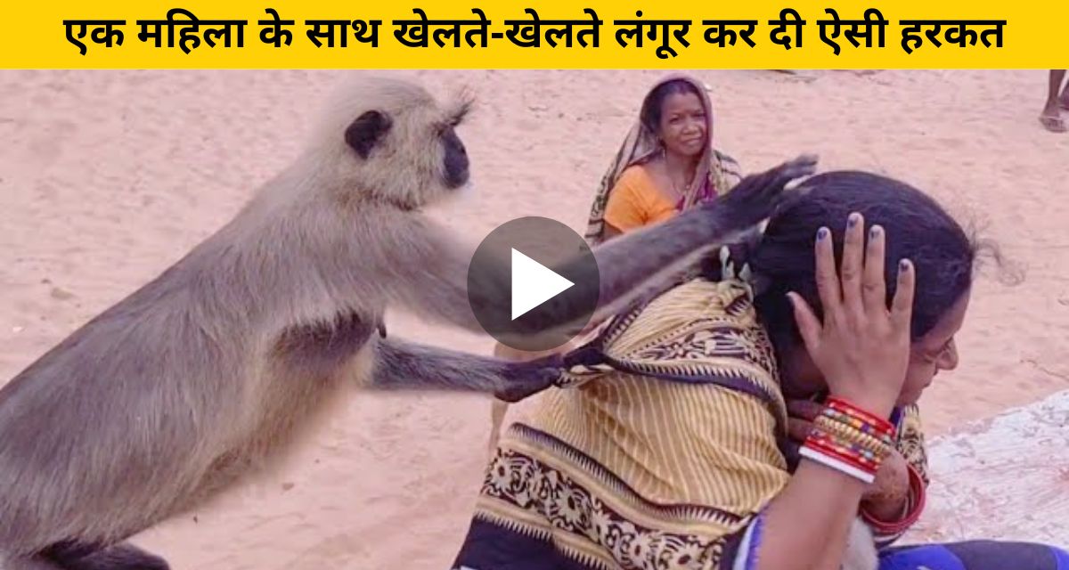 Monkeys attack woman feeding peanuts