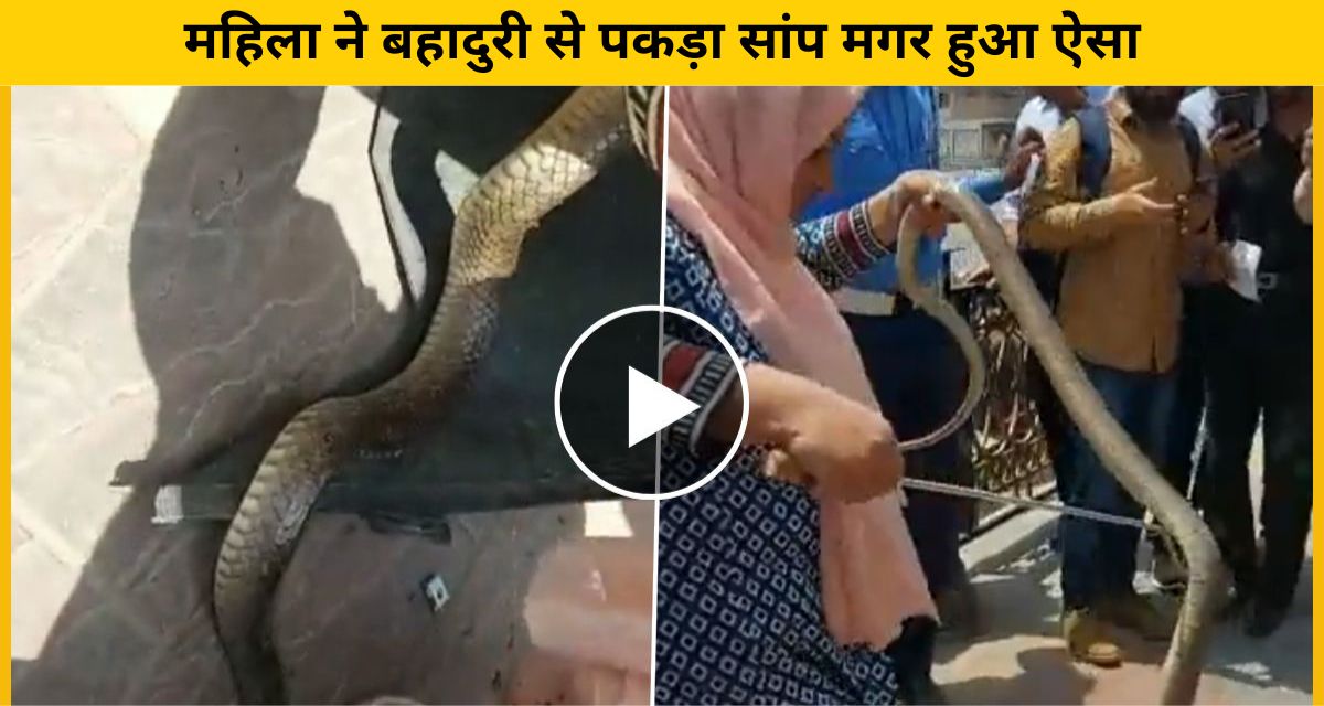 bravery of female snake catcher